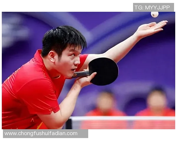 乒乓球传奇刘秀英的成长与奋斗历程深度对话