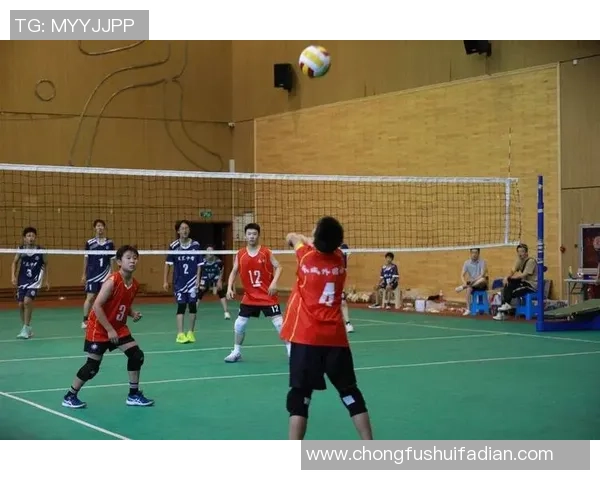 杭州排球队的精神风貌与团队意识探讨:排球运动中的团结与拼搏精神